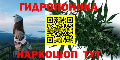 амф Конаково