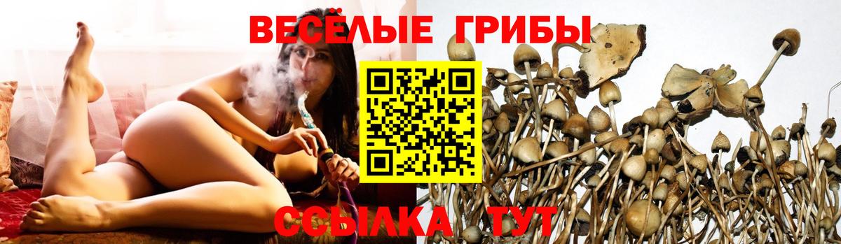Добрянка  Галлюциногенные грибы Magic Shrooms  Вход с VPN 